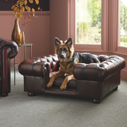 Lincoln Large Dog Bed - Dog Beds from Timeless Chesterfields UK