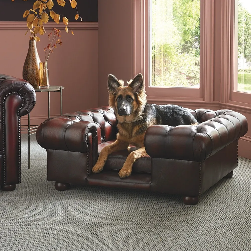 Lincoln Large Dog Bed - Dog Beds from Timeless Chesterfields UK